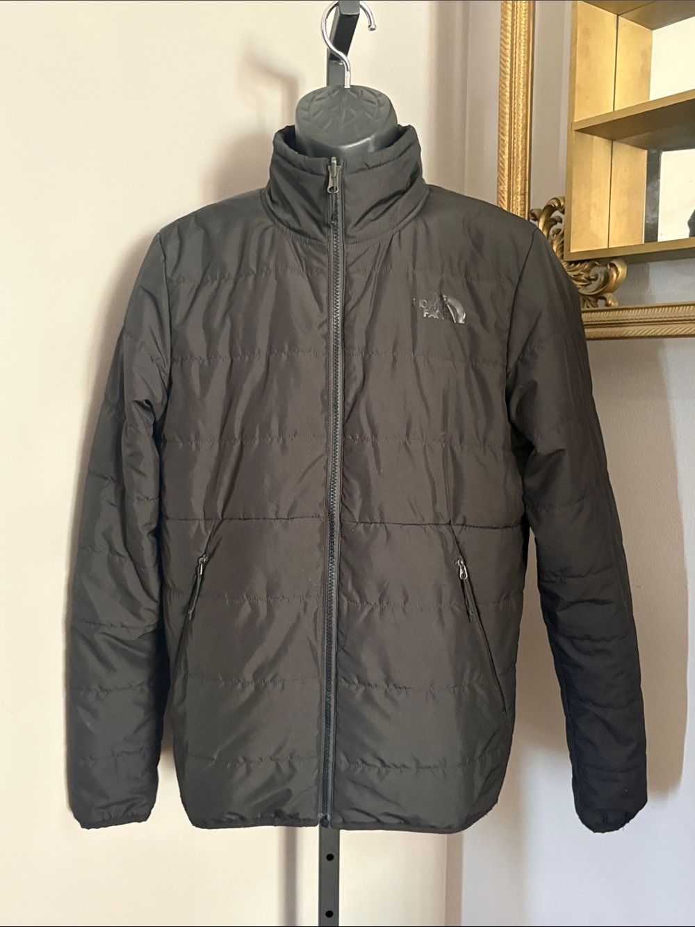 The North Face Men’s Small Hydrenalite Down Jacket Black Quilted Puffer